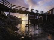 Passerelle prs du lac