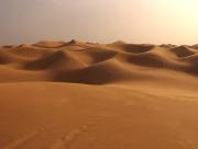 Dunes  perte de vue