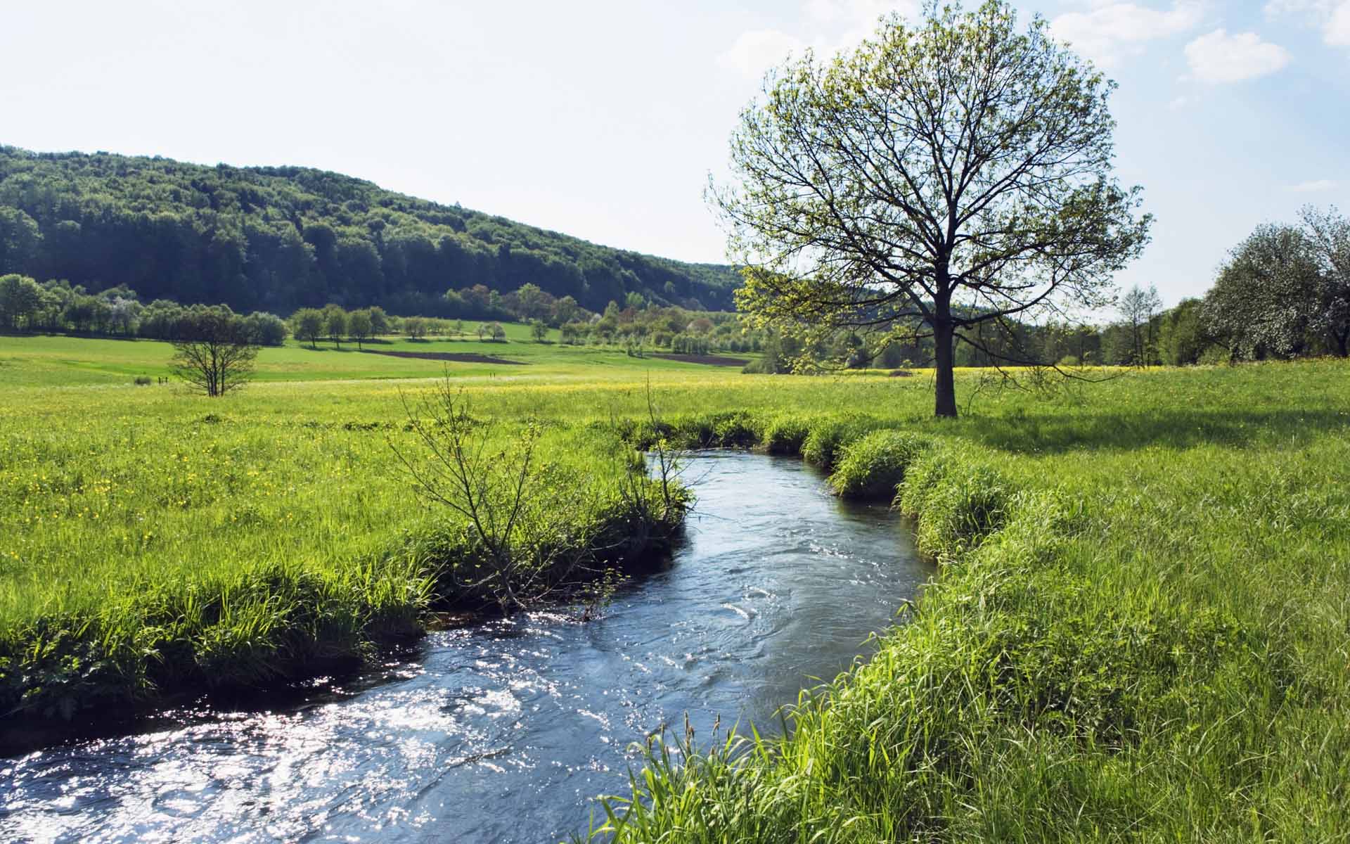 Fond d'ecran Plaine verte et cours d'eau