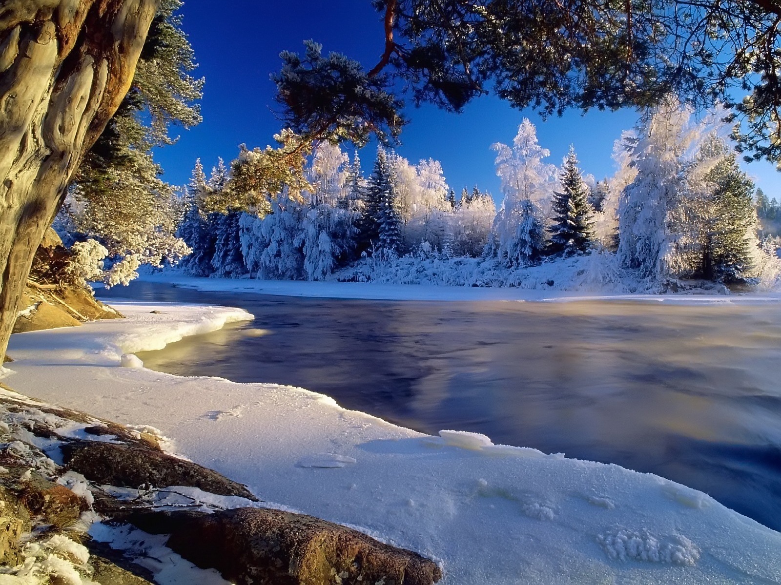 Fond d'ecran Rivire en montagne