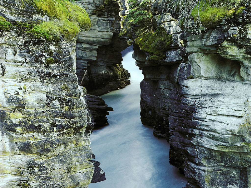 Fond d'ecran Torrent