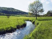 Plaine verte et cours d'eau