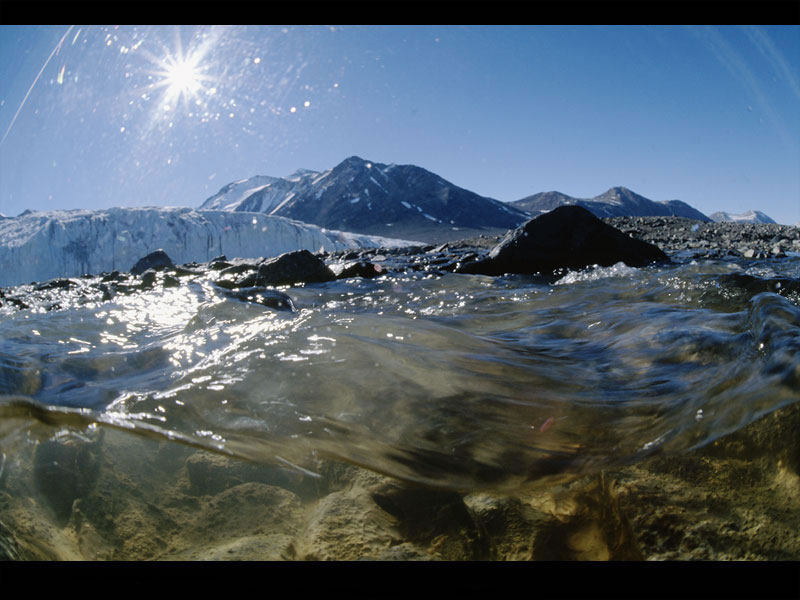 Fond d'ecran Glace et banquise