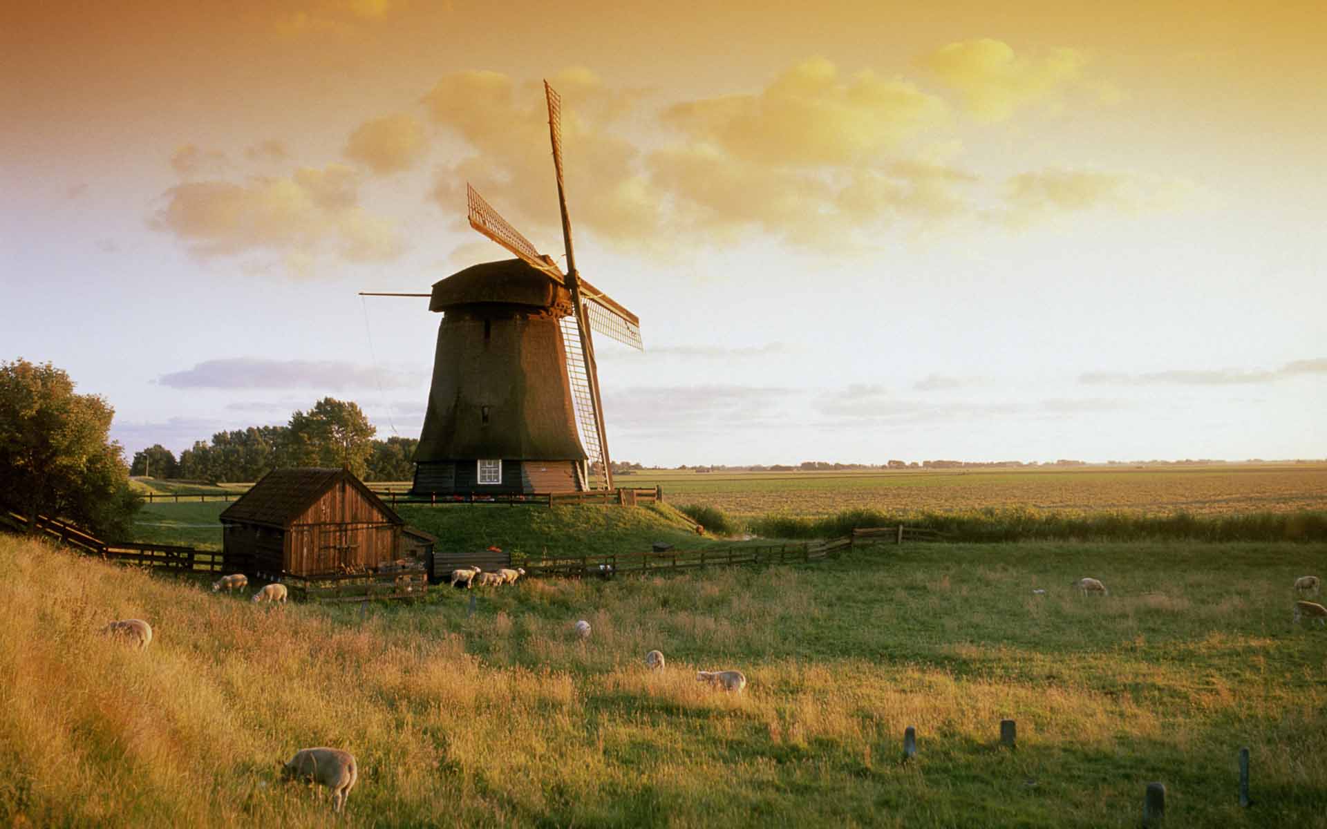 Fond d'ecran Moulin en pleine nature