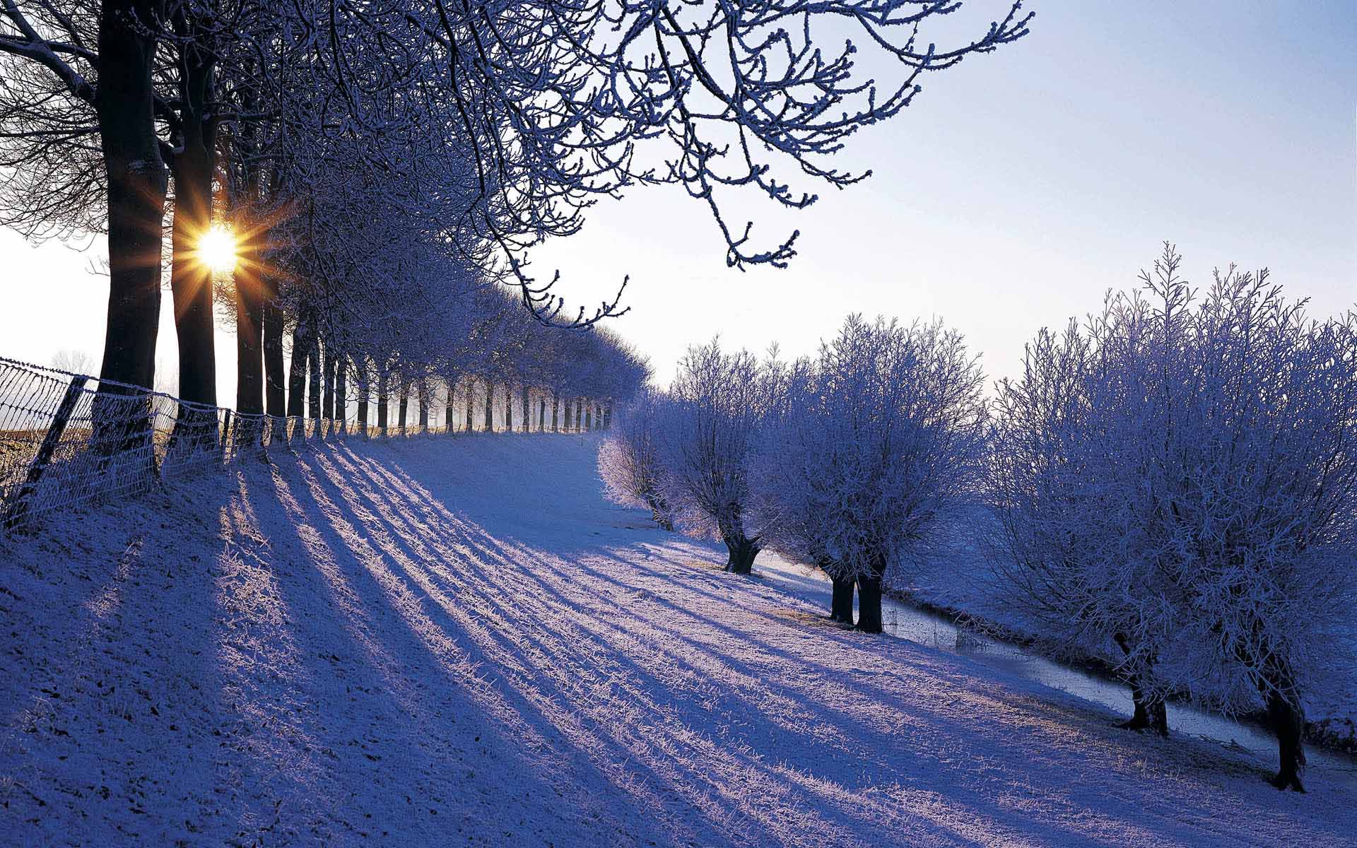 Fond d'ecran Champ sous la neige