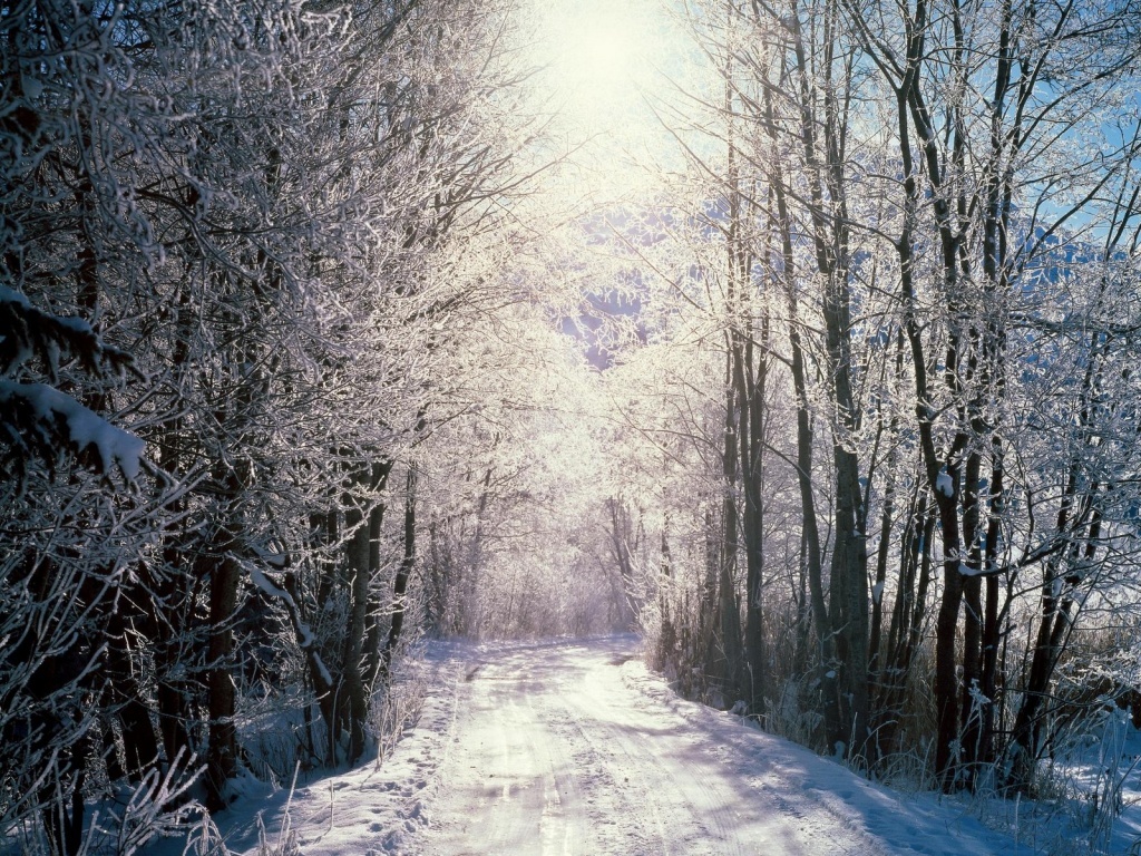 Fond d'ecran Chemin foret enneige