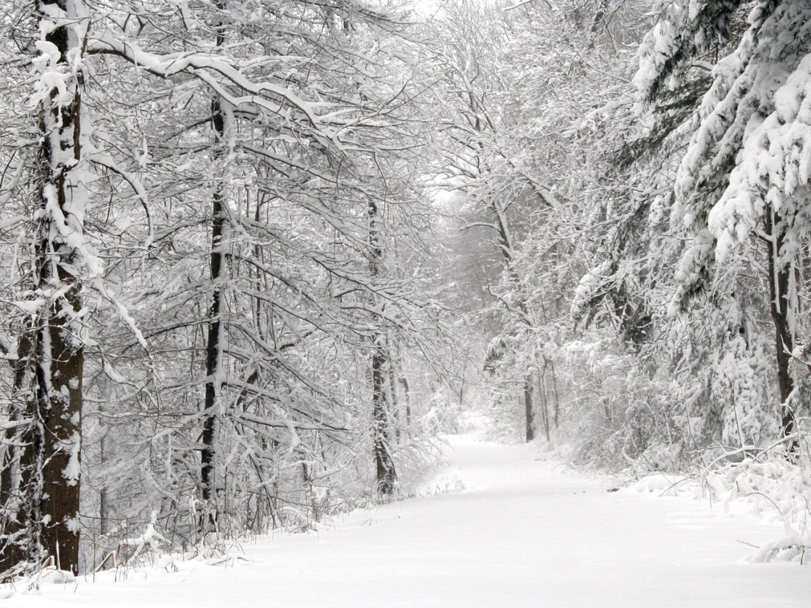 Fond d'ecran Route enneige