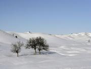 La terre sous la neige