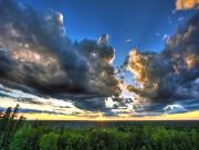 Ciel gris au dessus de foret