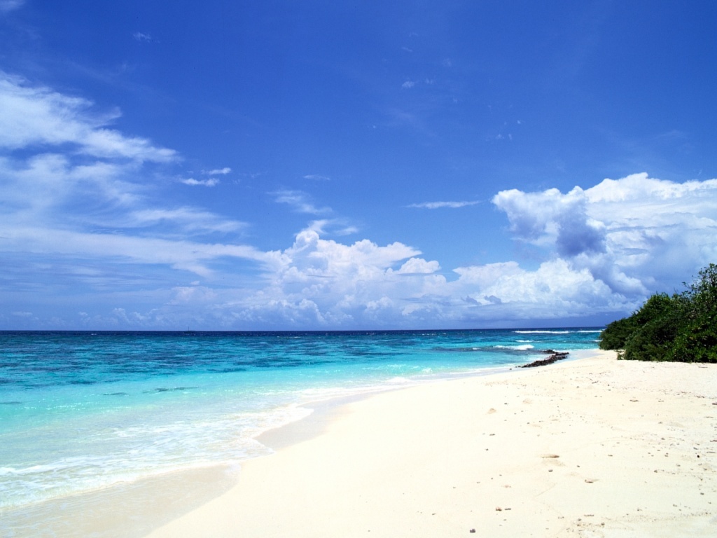 Fond d'ecran Plage de sable blanc