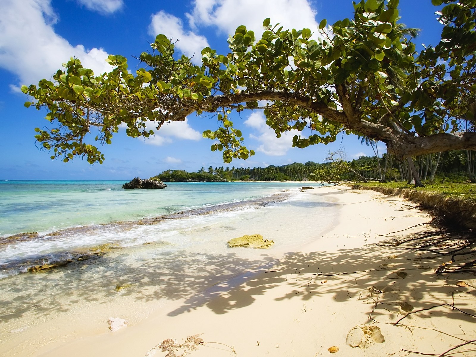 Fond d'ecran Plage dserte