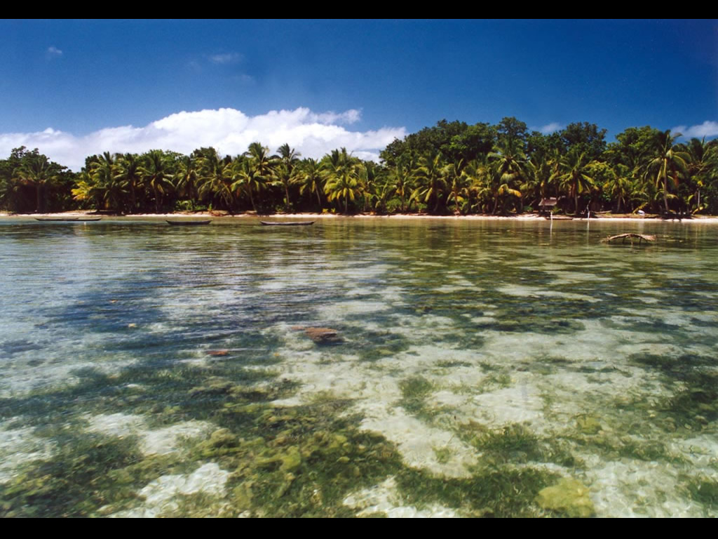 Fond d'ecran Paysage : Plage