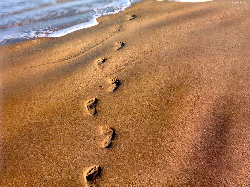 Fond d'ecran Paysage : Plage