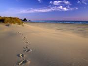 Marcher dans le sable