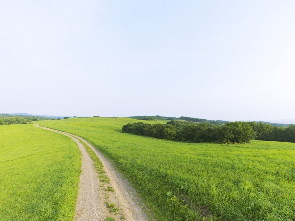 Fond d'ecran Chemin de campagne