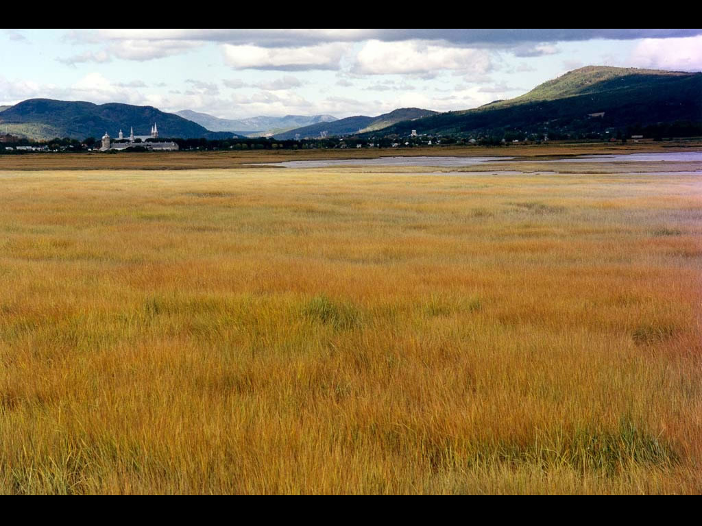 Fond d'ecran Paysage : Plaine et prairie