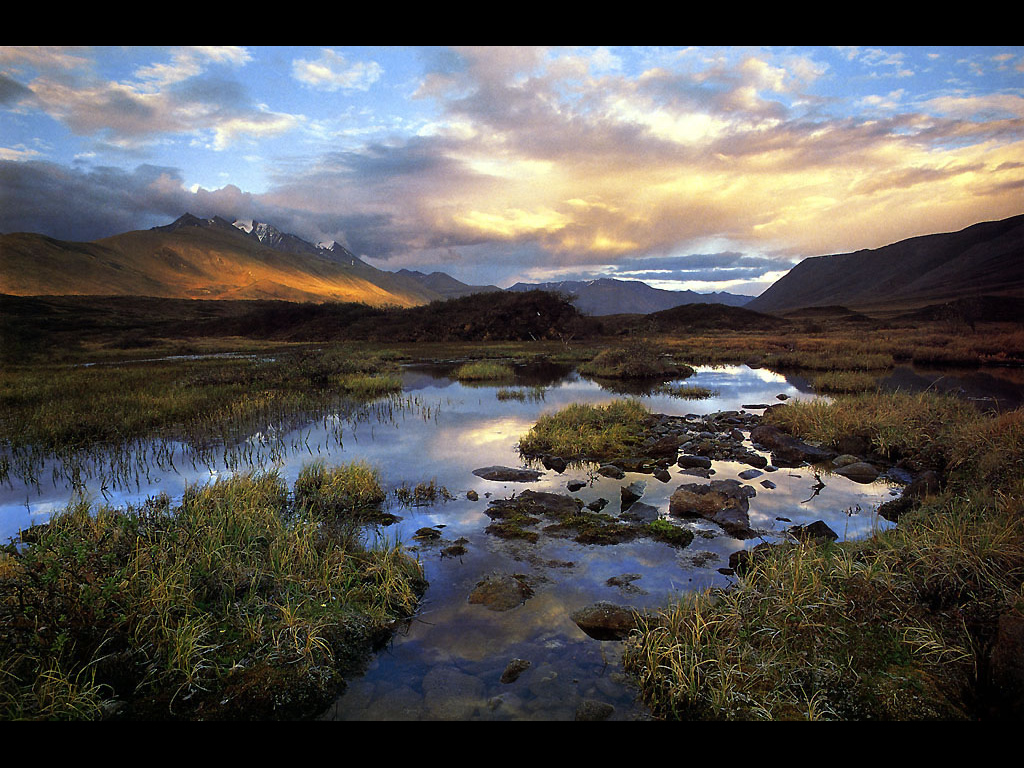 Fond d'ecran Paysage : Plaine et prairie