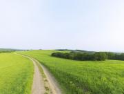 Chemin de campagne