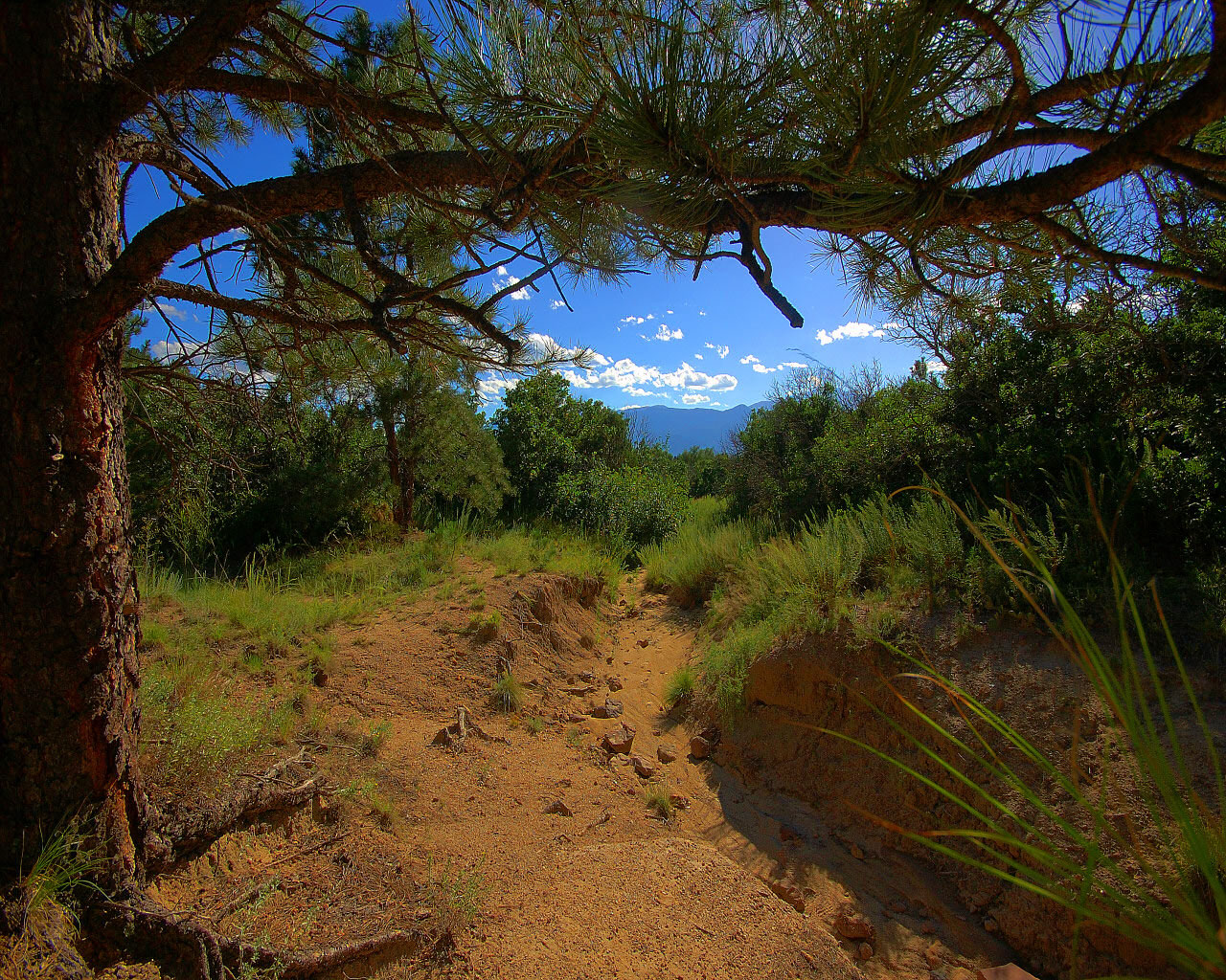 Fond d'ecran Pleine nature