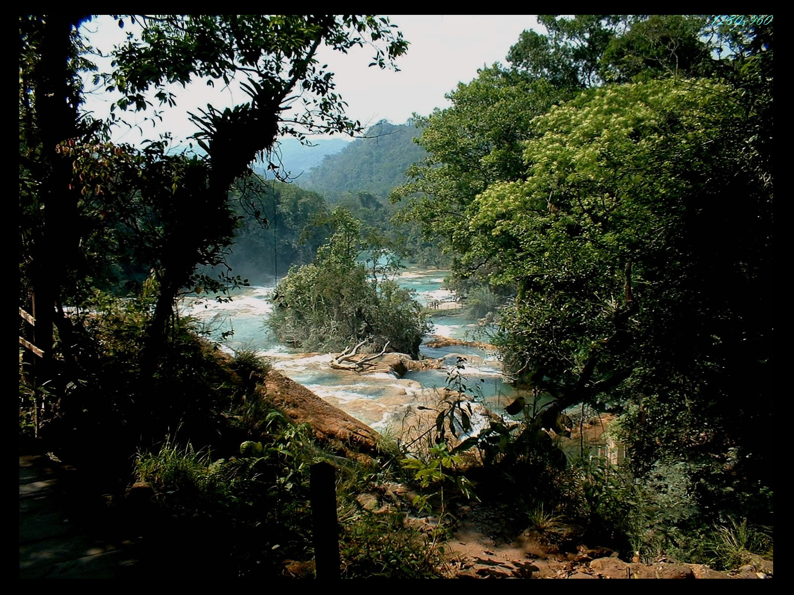 Fond d'ecran Pleine nature