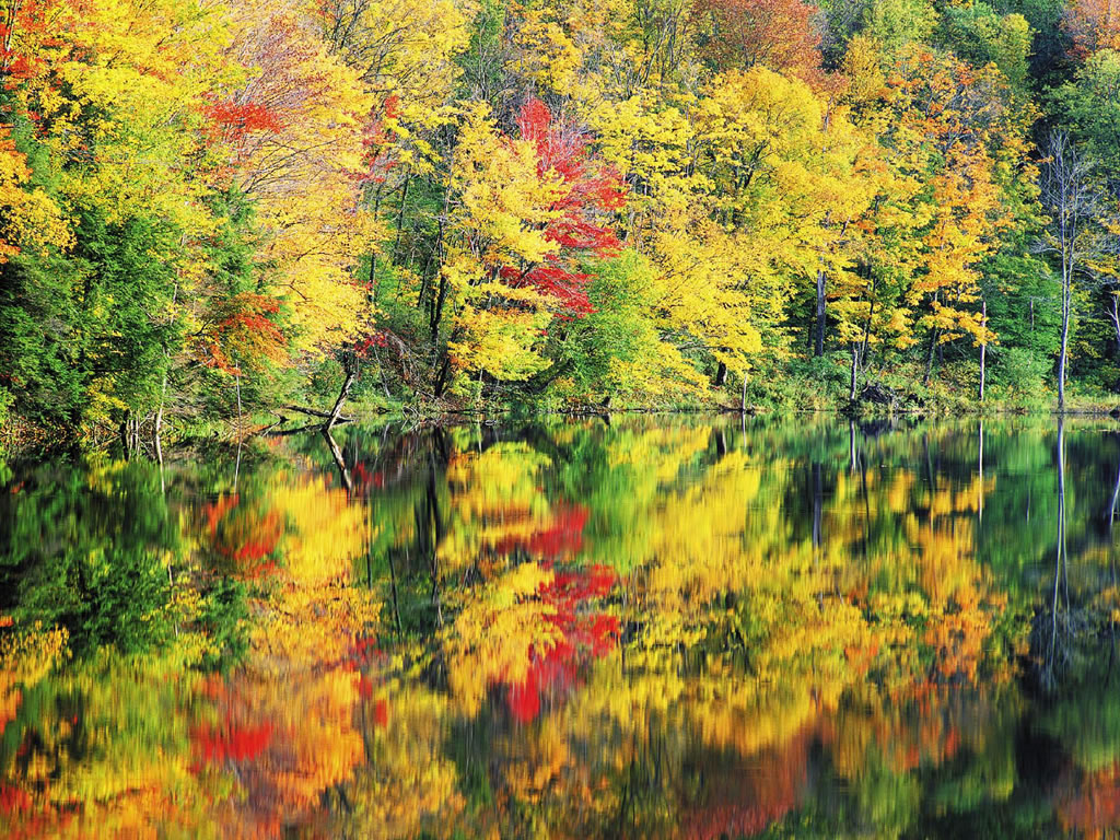 Fond d'ecran Pleine nature