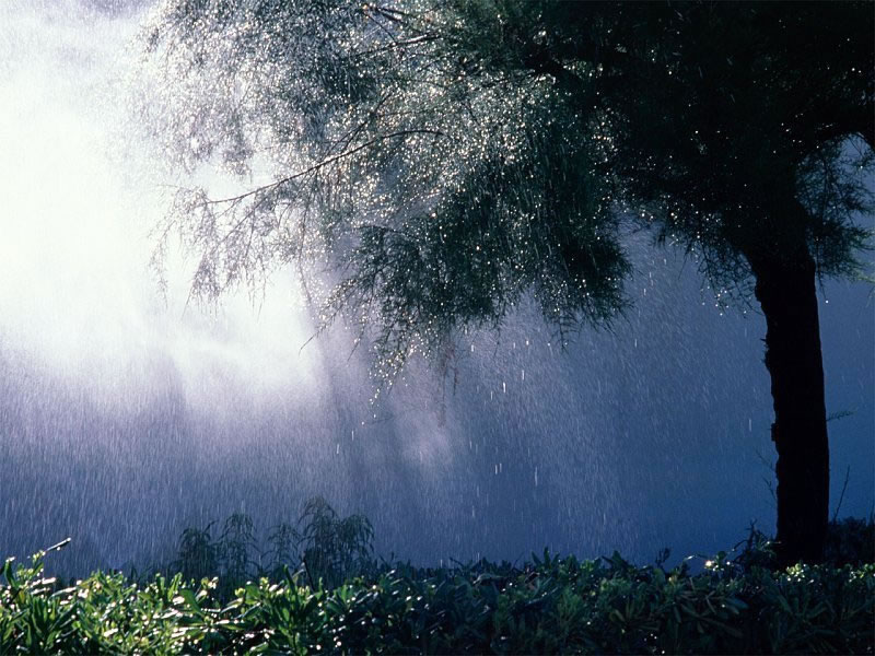 Fond d'ecran Nature sous la pluie