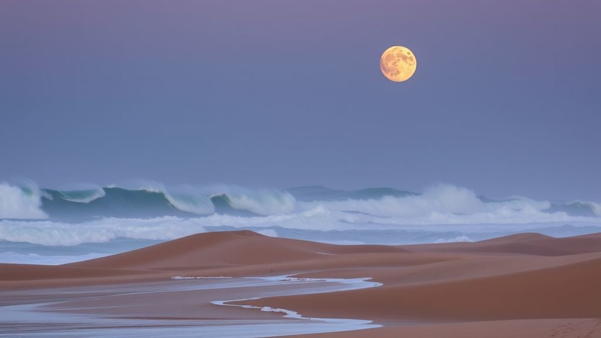 vagues océaniques au coucher du soleil, nature sauvage, forêts mystérieuses et brume, ciel étoilé en montagne, déserts de sable sous la pleine lune