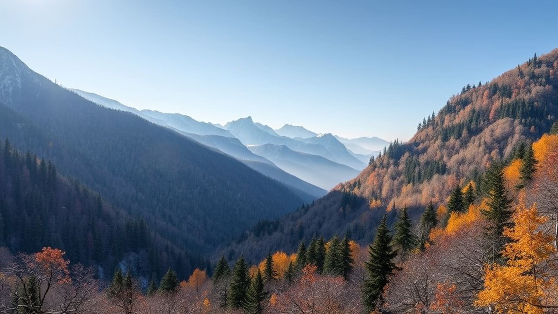 images de montagnes enneigées et forêts d'automne