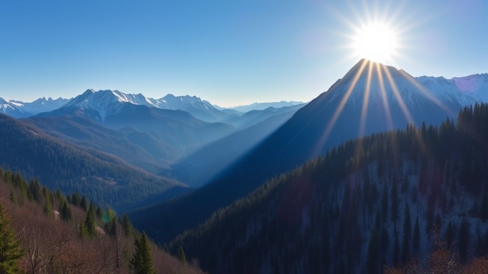 Montagnes au lever du soleil, forêts enneigées et cerfs sauvages